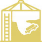 Crust & Bridges Web Icon
